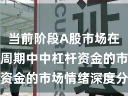 当前阶段A股市场在宽幅震荡周期中中杠杆资金的市场情绪深度分析